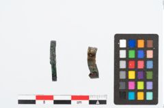 Foto von Bronzering (NHMW-PRAE-026419)